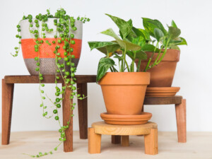 Cedar Nesting Tables for Plants - Set of 3