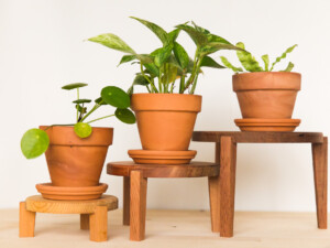 Cedar Nesting Tables for Plants - Set of 3